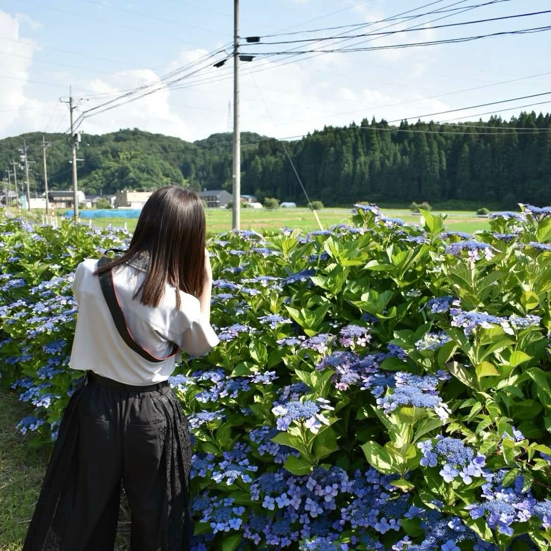 藤田都